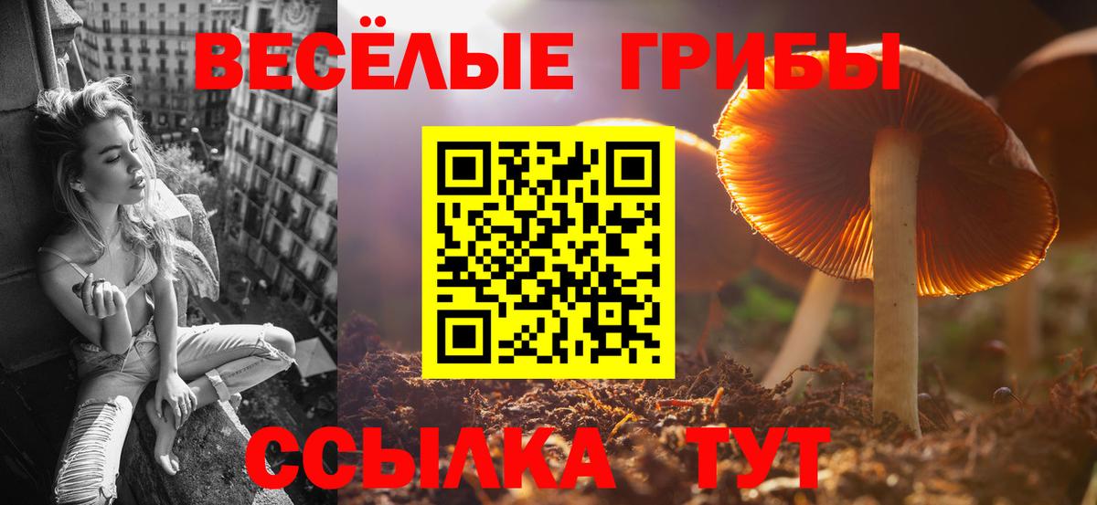 Псилоцибиновые грибы Magic Shrooms Комсомольск-на-Амуре